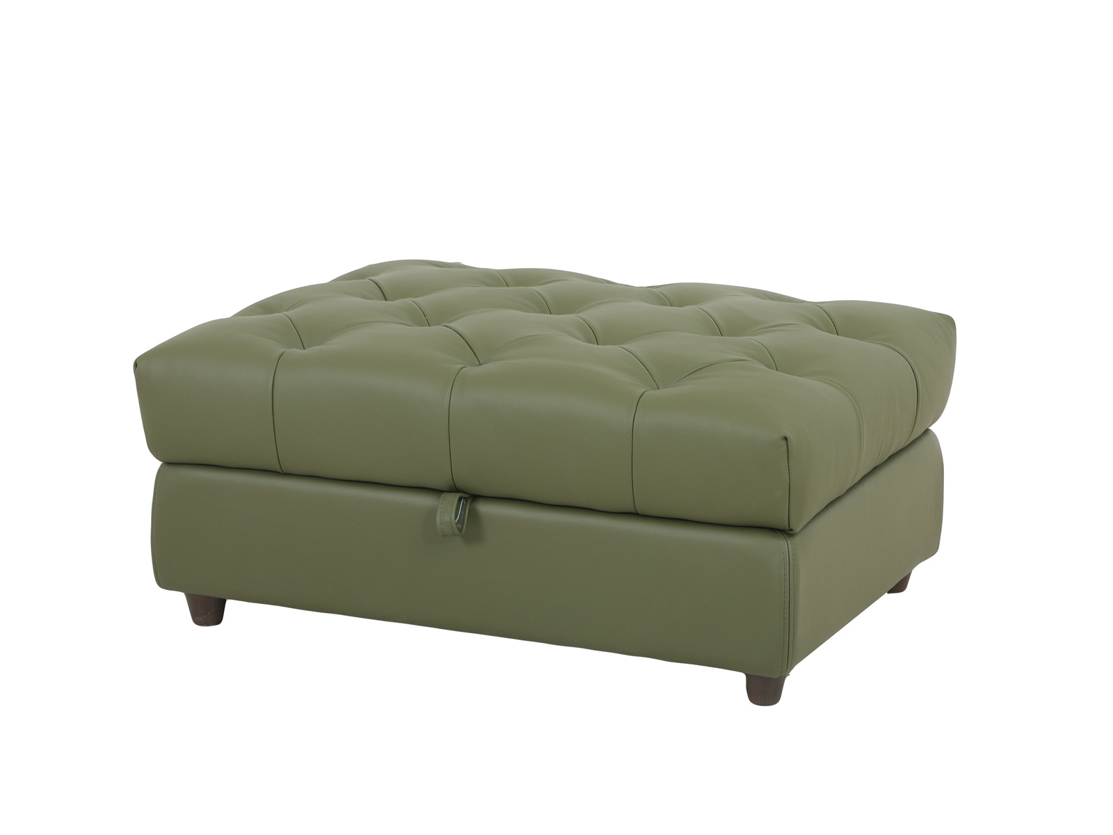 Chester Storage Ottoman in Green Leather INspiration Interiors