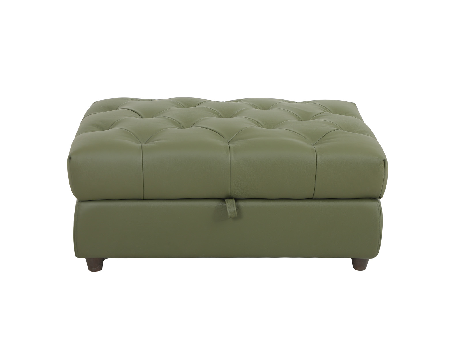 Chester Storage Ottoman in Green Leather - INspiration Interiors